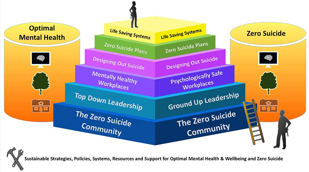 ZS transformational model